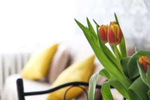 apartment, flowers, tulips